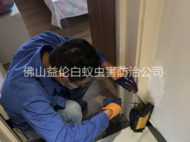 里水住宅白蚁防治工程