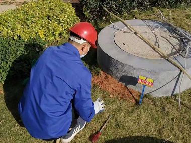 黄岐验收红火蚁站：工业园区发现红火蚁怎么办？